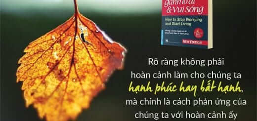 5 Đầu Sách Về Tâm Lý Học Hành Vi Khuyến Đọc