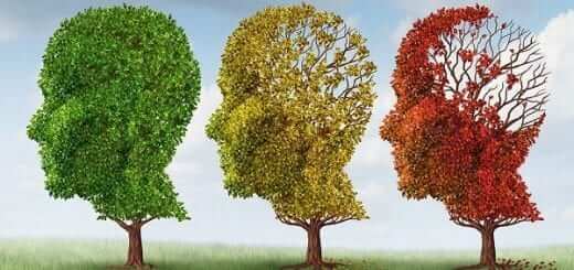 Các Tâm Lý Học Hành Vi Về Nhân Cách Phổ Biến Trên Thế Giới